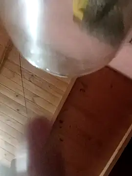 Snapshot of Camicam_04 chatting on November 16, 6:30 am Camicam 04 online show from November 16, 6:30 am