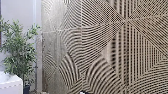 Noah dupont  online show from November 20, 11:54 am