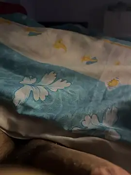 Snapshot of VavEBig chatting on January 11, 2:27 am VavEBig online show from January 11, 2:27 am