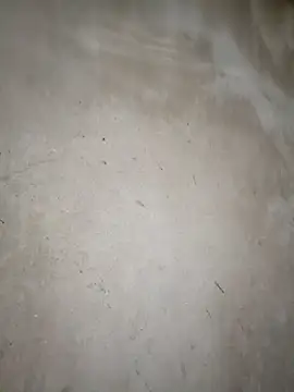 blonde blg online show from March 14, 11:32 pm