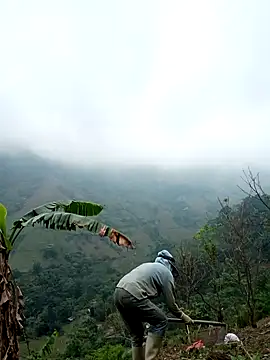 blonde blg online show from April 24, 2:36 am