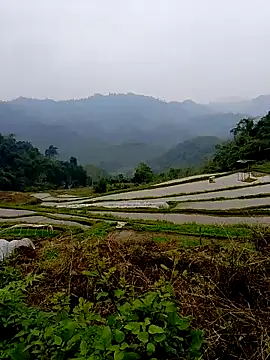 Cloud-wh online show from March 14, 2:39 am