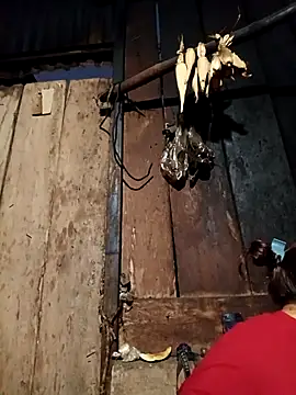 -Chua-90 online show from February 19, 11:12 pm