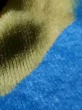 Snapshot of GG23MVP chatting on November 30, 5:22 am GG23MVP online show from November 30, 5:22 am