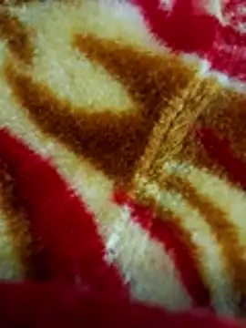 Snapshot of sangeeta_lodhi chatting on November 28, 6:10 pm sangeeta lodhi online show from November 28, 6:10 pm