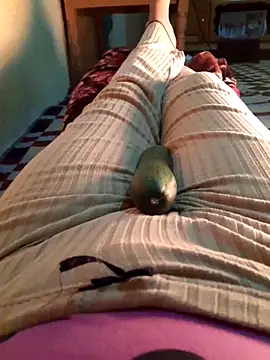 Tota sexi online show from December 1, 9:36 am