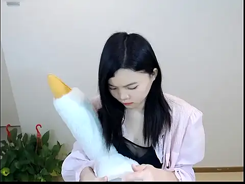 Shaurk online show from February 2, 2:43 am