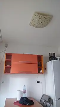 Snapshot of Dale_E chatting on January 28, 8:36 am Dale E online show from January 28, 8:36 am