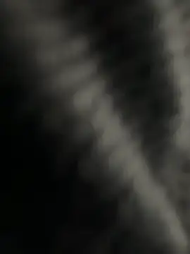 kangro 80 online show from December 1, 11:26 am