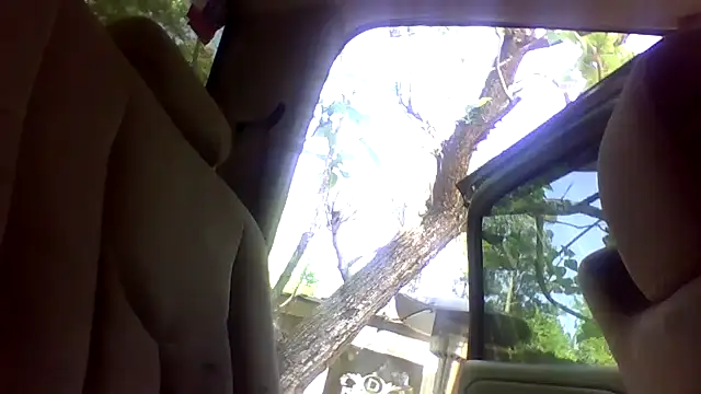 dickencidr online show from April 15, 6:48 pm