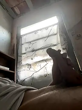 24 c online show from December 2, 11:04 am