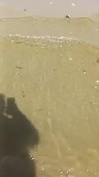 Lukemo online show from April 13, 9:48 am