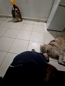 RITAEGIH online show from March 2, 8:04 pm