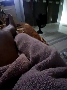 krett65 online show from December 5, 1:03 am