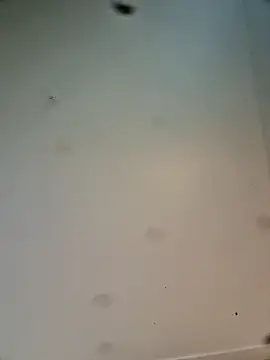 Hardwarelane67 online show from March 23, 12:09 pm