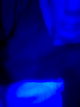 Snapshot of FrappedLocking chatting on May 22, 8:42 am FrappedLocking online show from May 22, 8:42 am
