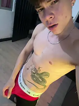 Snapshot of Handsome_boys69 chatting on June 11, 2:33 am Handsome boys69 online show from June 11, 2:33 am