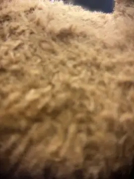 valeryfox   online show from March 18, 10:57 pm