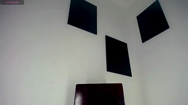 Emily Hotss online show from December 2, 8:04 pm