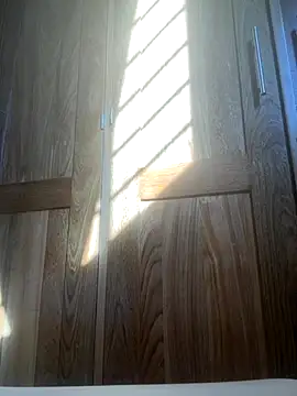 Snapshot of HuggingRegulus chatting on November 24, 7:46 pm HuggingRegulus online show from November 24, 7:46 pm