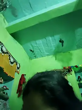 Punam panjabi online show from February 15, 6:32 am