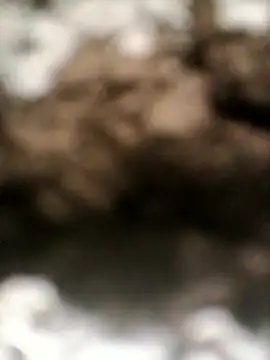 sexygosht online show from April 18, 10:52 am