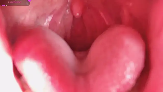 LT-333 online show from February 5, 8:24 pm