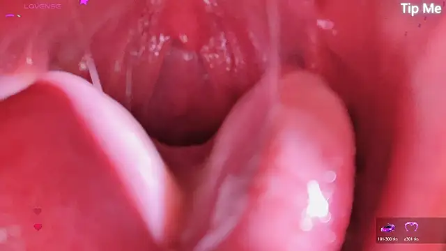 LT-333 online show from April 17, 5:05 pm