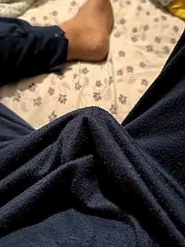 Snapshot of Alpaperve chatting on December 4, 12:09 am Alpaperve online show from December 4, 12:09 am