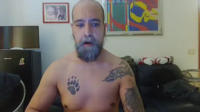 Snapshot of AMIRDIB2025 chatting on June 15, 1:57 pm AMIRDIB2025 online show from June 15, 1:57 pm