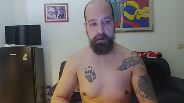 Snapshot of AMIRDIB2025 chatting on June 26, 11:47 am AMIRDIB2025 online show from June 26, 11:47 am