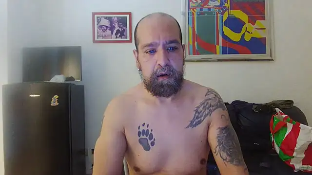 Snapshot of AMIRDIB2025 chatting on July 17, 4:23 pm AMIRDIB2025 online show from July 17, 4:23 pm