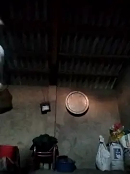 Snapshot of LeoPet2x chatting on December 15, 9:46 am LeoPet2x online show from December 15, 9:46 am