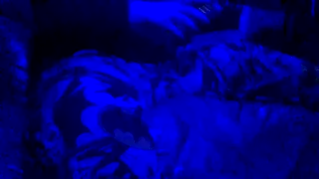 Snapshot of joshbrown699 chatting on November 30, 5:11 am joshbrown699 online show from November 30, 5:11 am