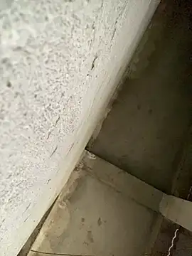 Lilik2 online show from January 15, 8:08 am