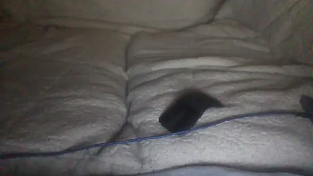 Snapshot of moneymaker50 chatting on December 2, 4:51 am moneymaker50 online show from December 2, 4:51 am