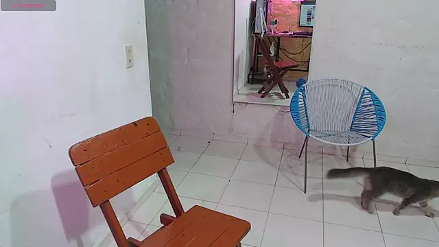 maxI dick33 online show from February 14, 10:23 am