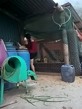 sary-hot2x online show from April 15, 11:28 am