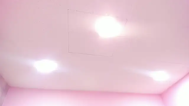 Tokio Bliss online show from December 16, 12:54 pm