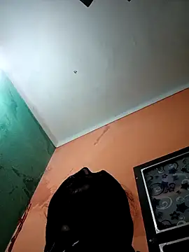 Arpitasen online show from January 14, 4:45 pm