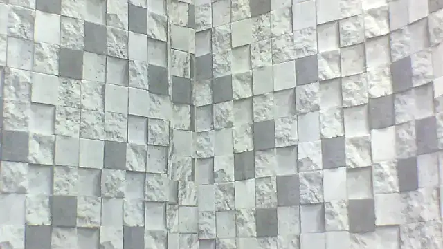 Exotic indian95 online show from April 16, 5:03 pm