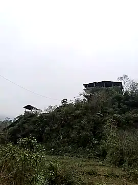 neko-nancy online show from January 7, 7:55 am