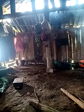 little-effy online show from March 23, 4:27 am