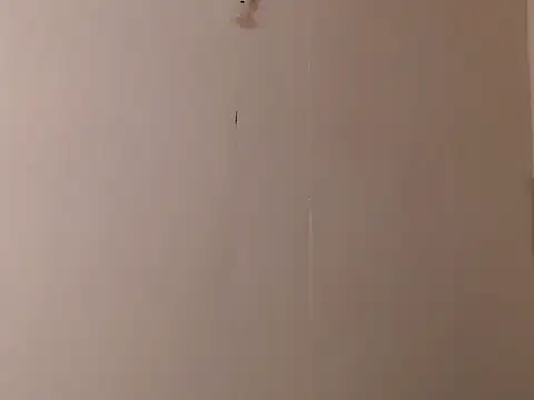 camelastarsairo online show from March 31, 9:37 pm