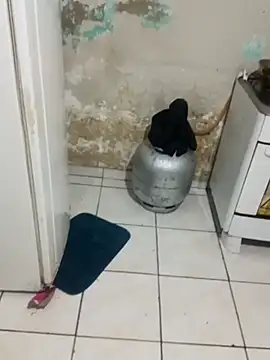  - charmosa online show from December 15, 1:21 am