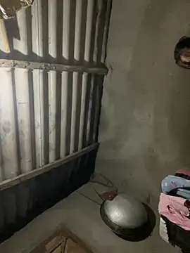 Nika-be online show from March 5, 12:34 pm