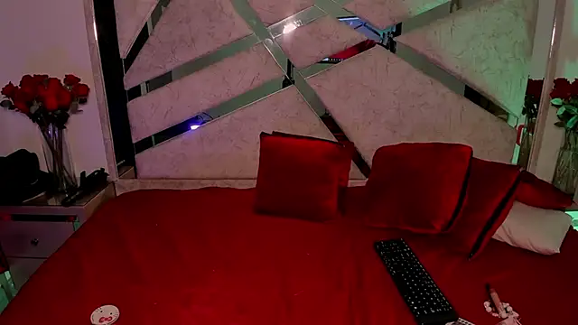 Snapshot of Starlights chatting on January 11, 3:28 pm Starlights online show from January 11, 3:28 pm