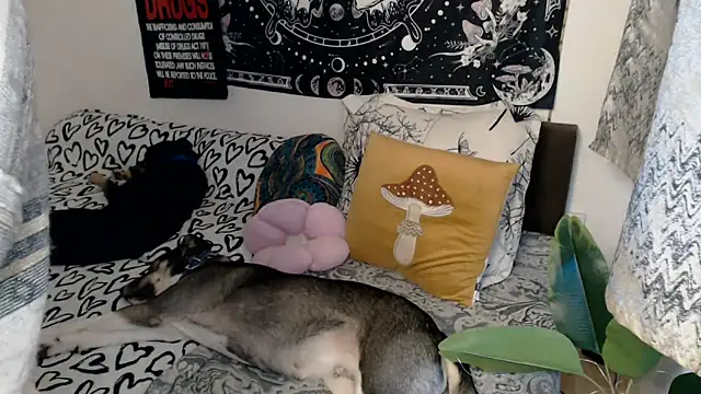 Snapshot of AlienforTwenty chatting on February 26, 8:57 am AlienforTwenty online show from February 26, 8:57 am