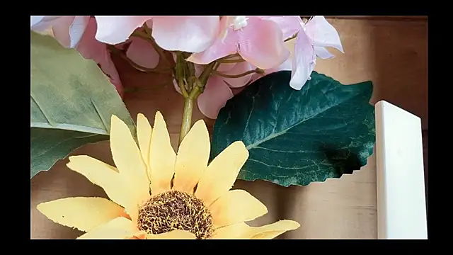 Snapshot of vickvalencia2 chatting on May 4, 1:40 pm vickvalencia2 online show from May 4, 1:40 pm