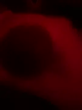 DaveeeIsTheone online show from February 15, 8:02 am